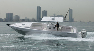 Silvercraft 38СС