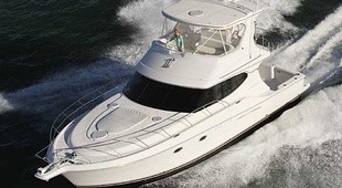 Silverton 45 Convertible