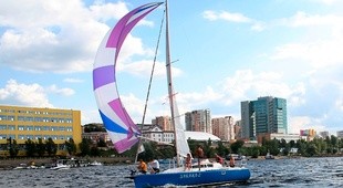 Spray Рикошет 930