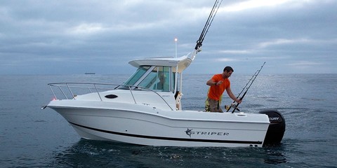 Striper 200 WA