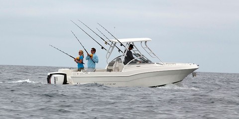 Striper 230 DC