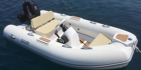 Suzuki st290 + 20hptender deutschland