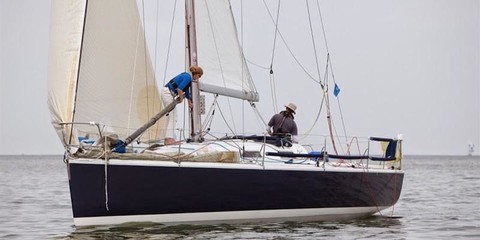 Sydney bashford howison 36