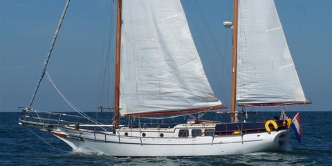 Taiwan clipper 41 ct