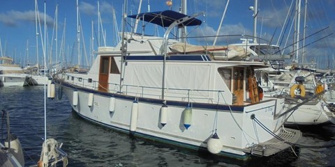 Tarquin & trader 46