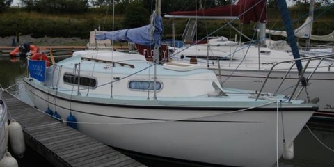 Thames marine snapdragon 24