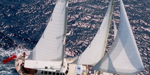 Tigerlily of Cornwall