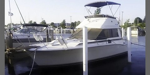 Trojan 32 flybridge sedan