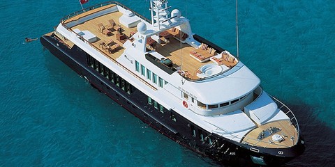 Turquoise Cameleon B