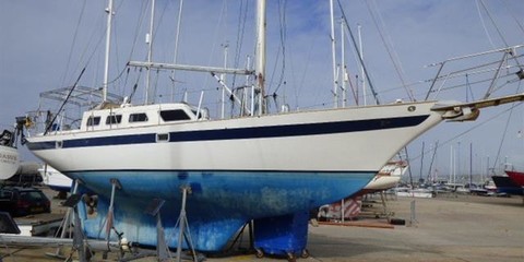 Tylers tylers endurance 37