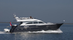 Van Der Heijden Superior