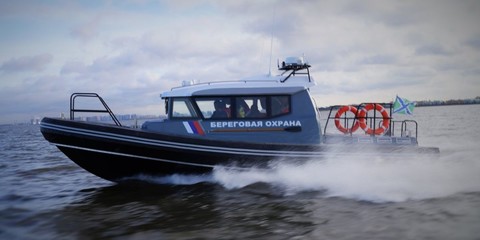 Webmaster RM-860 eagle