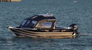 Weldcraft 201 Maverick DV