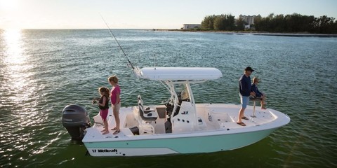 Wellcraft 221Bay