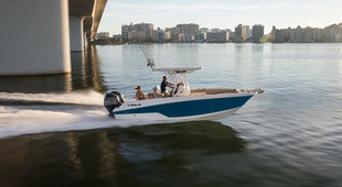 Wellcraft 242 Fisherman