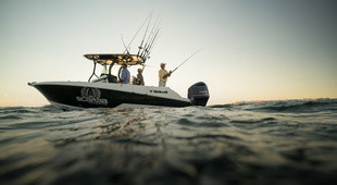 Wellcraft 262 Fisherman