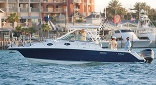 Wellcraft 290 Coastal