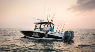 Wellcraft 302 Fisherman