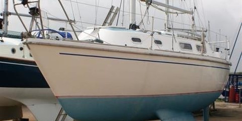 Westerly Marine griffon