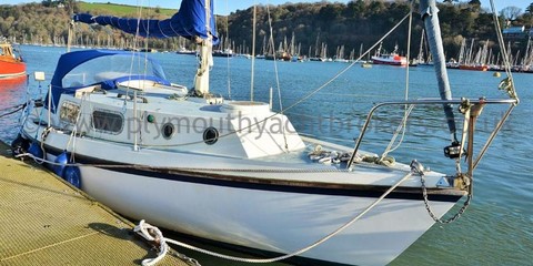 Westerly Marine tiger