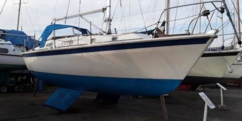 Westerly Marine konsort