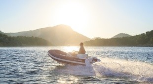 Williams SPORTJET 345