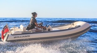 Williams SPORTJET 395