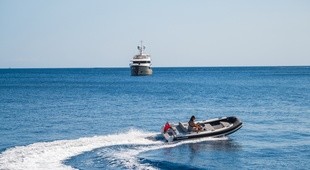 Williams SPORTJET 435