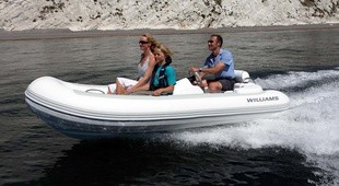 Williams Turbojet 325