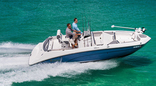 Yamaha 210 FSH Deluxe