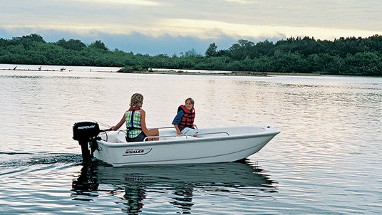 Boston Whaler 110 Tender