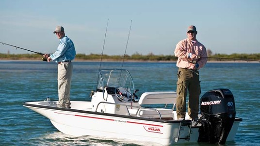 Boston Whaler 150 Montauk