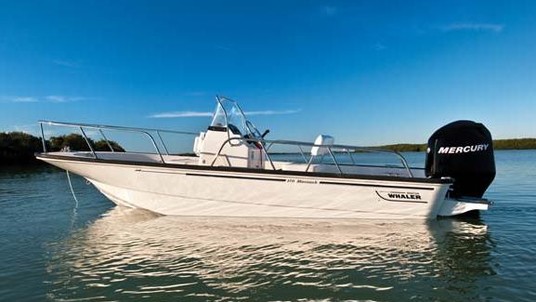 Boston Whaler 170 Montauk