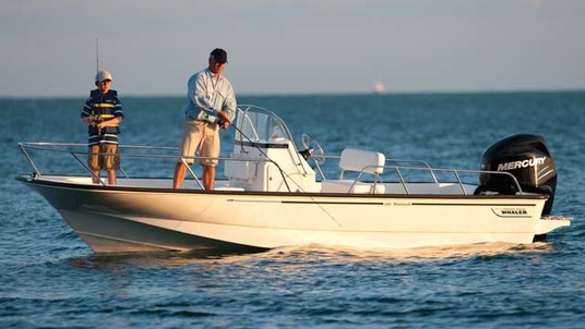 Boston Whaler 190 Montauk