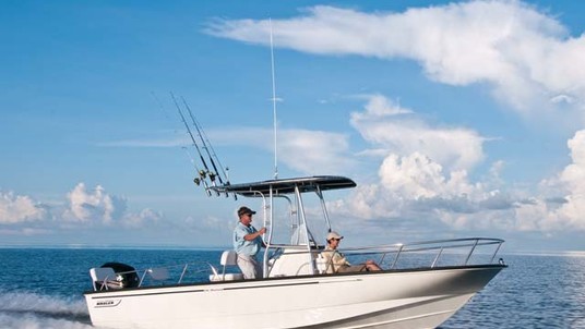 Boston Whaler 210 Montauk