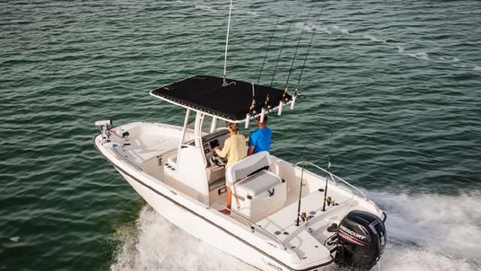 Boston Whaler 210 Dauntless