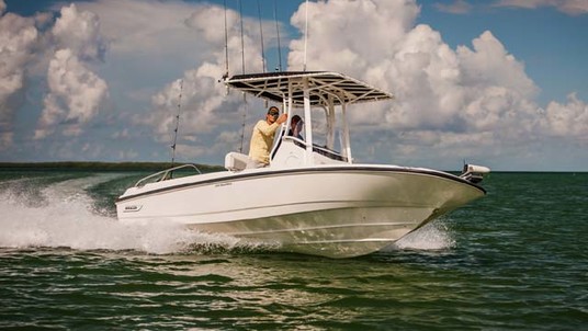 Boston Whaler 210 Dauntless