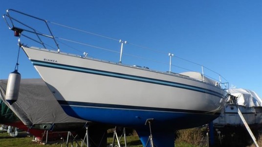 Bianca 320