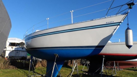 Bianca 320