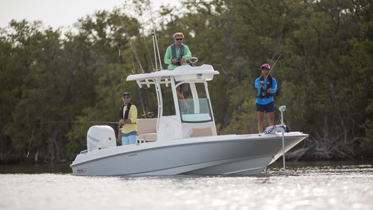 Boston Whaler 240 Dauntless PRO