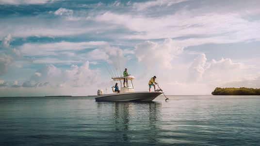 Boston Whaler 240 Dauntless PRO