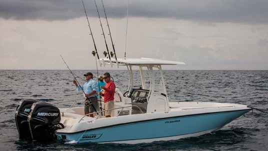 Boston Whaler 270 Dauntless