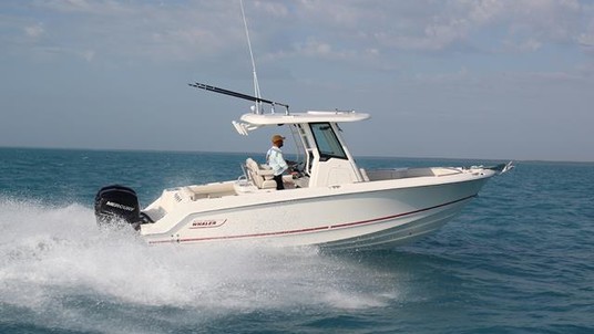 Boston Whaler 250 Outrage