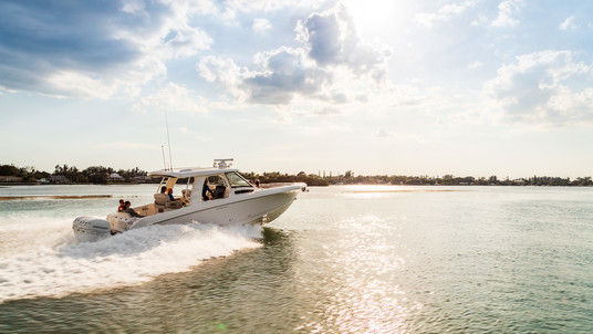 Boston Whaler 350 Realm