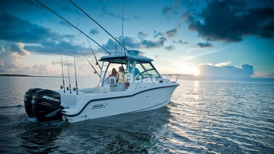 Boston Whaler 285 Conquest