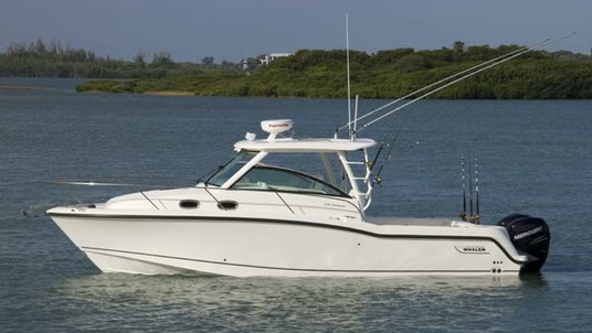 Boston Whaler 315 Conquest