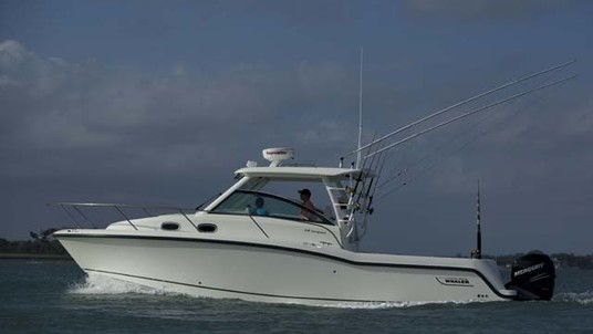 Boston Whaler 315 Conquest