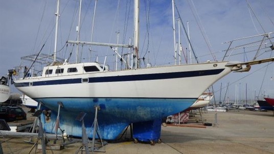 Tylers tylers endurance 37