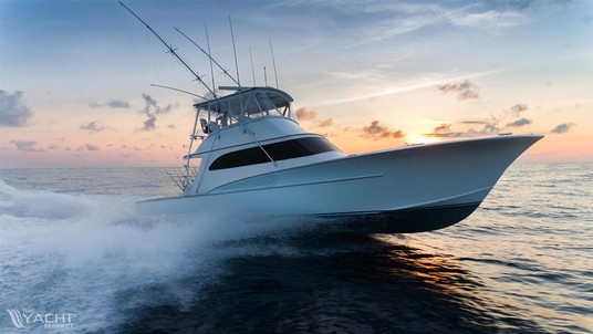 Sunny briggs 52 custom carolina