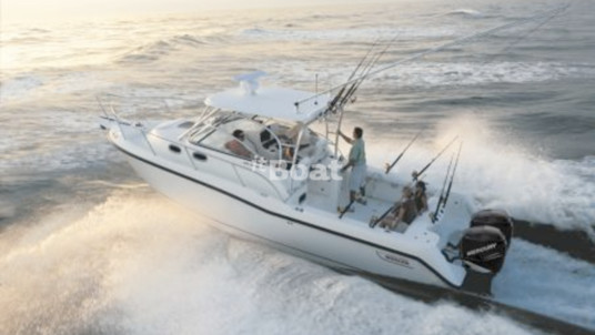Boston Whaler 305 Conquest